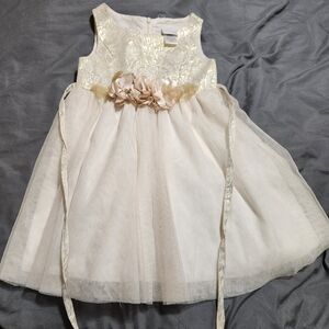 Sweet Heart Rose Gold and Ivory Lace Party Dress